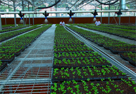 河南農田水肥一體化智能控制系統